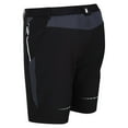 thumbnail image 3 of Regatta Hommes de Montagne II Shorts, 3 of 8