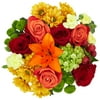 Fresh-Cut Premium Mixed Bouquet Flowers, Minimum of 15 Stems, Colors Vary
