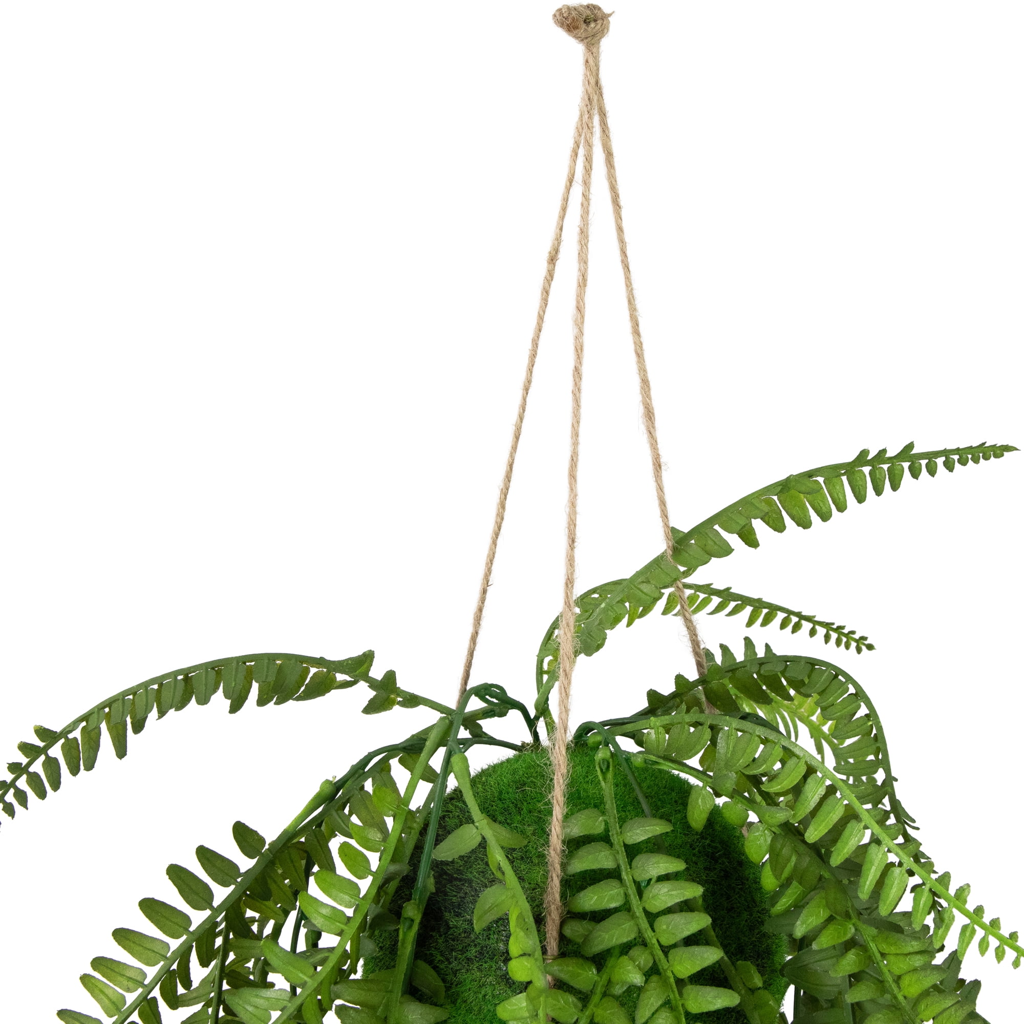 Northlight Artificial Fern Plant with Moss Ball and Hanging Jute Cord - 18"