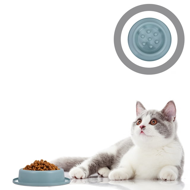 COMPUKAS Duradero Para Mascotas Ideal Para Comida Y Con Antideslizante Azul