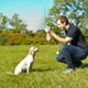 Hyper Pet Doggie Tail- – image 2 sur 2
