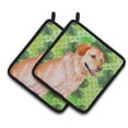 thumbnail image 1 of Carolines Treasures BB9888PTHD Labrador Retriever St.Patricks Paire de Porte-Pot, 1 of 1