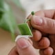 thumbnail image 5 of 90 piezas de clips de plástico para plantas trepadoras, enredaderas, maceteros de pared, ganchos de tracción para plantas de jardín, ganchos de pared para plantas trepadoras., 5 of 7