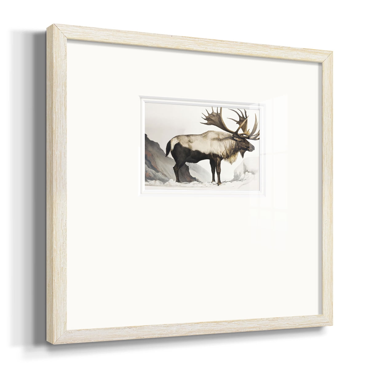 Elk MounrtainPremium Framed Print