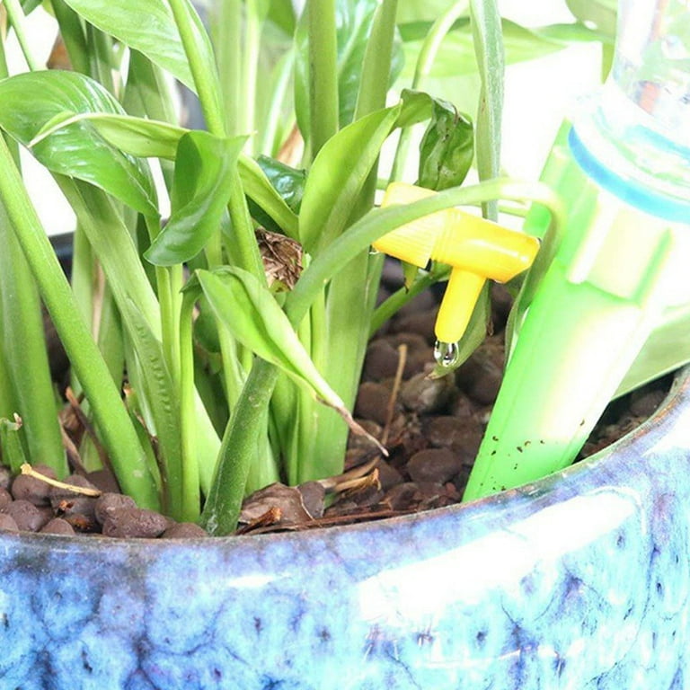 Vacation Plant Watering Devices 