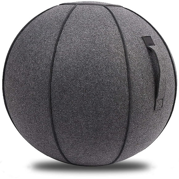 65cm Sitting Ball Chair for Office, Dorm, and Home, Pilates Exercise Yoga Ball with Cover, Lightweight Self-Standing Ergonomic Posture Activating Exercise Ball Solution with Handle and Pump