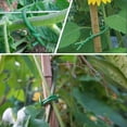 thumbnail image 3 of SWETRACE Garden Plant Fixing Wire Durable Para Atar Y Sostener Plantas Y Enredaderas, 3 of 7