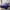 Purple, variant on Butterfly Coverlet Set Blue Flowers Twin Bedspread Set,Bohemian Glitter Starry Quilt Set Botanical Leaves Bedding Set