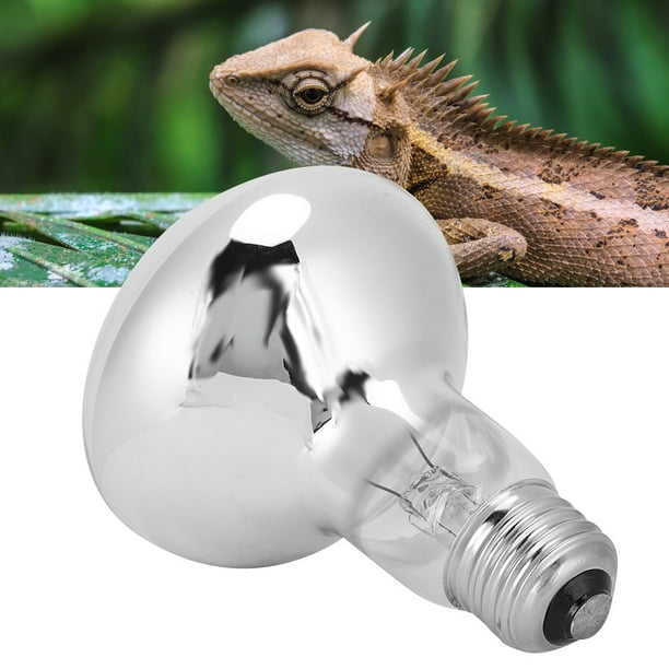 Mini reptile heat store lamp