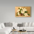 thumbnail image 3 of Trademark Fine Art ' Southern Magnolias' Canvas Art by Barbara Mock, 3 of 3