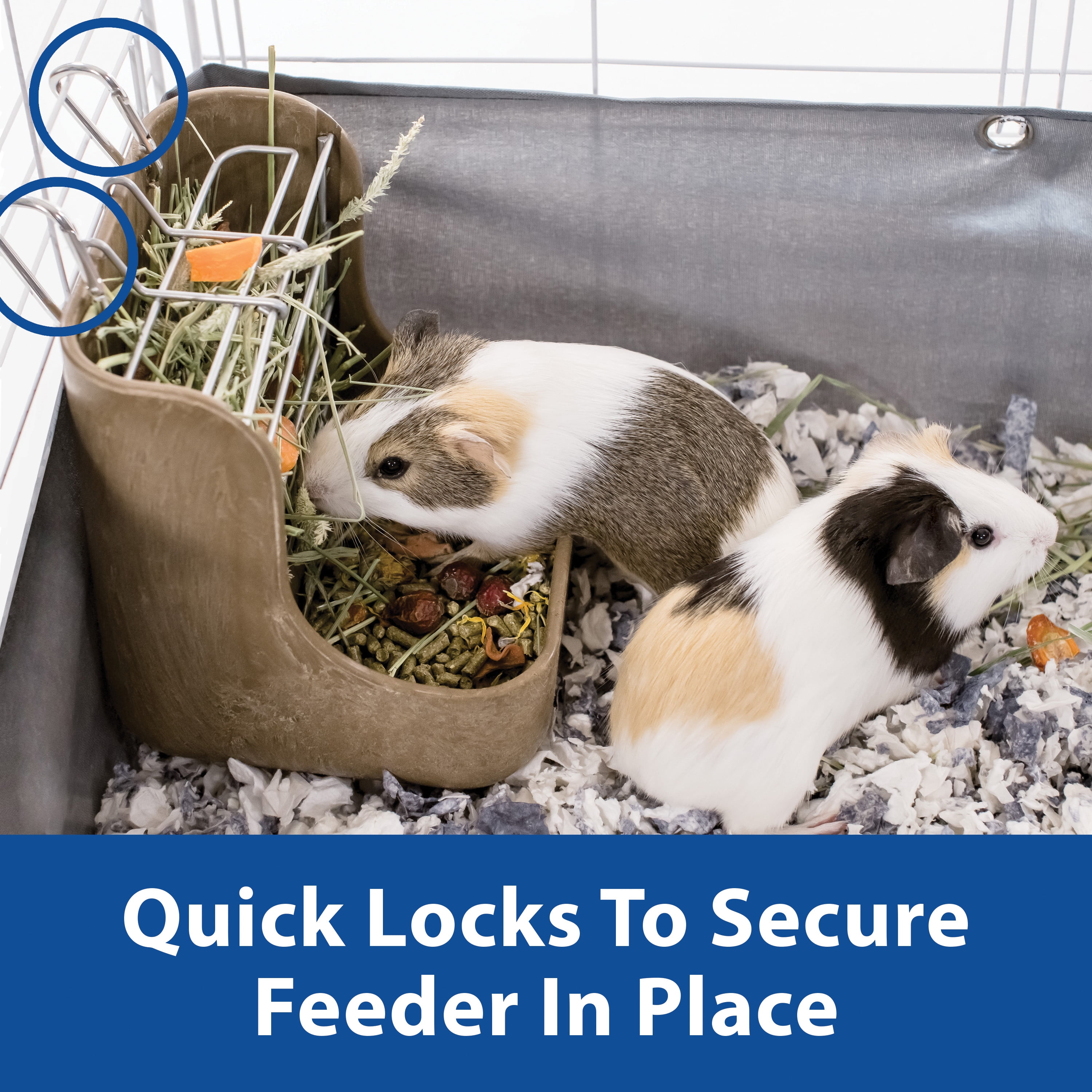 rabbit feeder walmart
