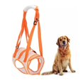 thumbnail image 2 of LLC Dog Rear Leg Support Brace Lift Harness - Size L, 2 of 4