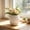 White, variant on Yomiee Round Wicker Textured Flower Vase with White Drain Tray,Plastic Spherical Plant Pot, Small Tabletop Floral Container for Fresh Dried Flower Home Office Boho Farmhouse Window Decor