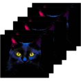 thumbnail image 2 of Black Cat Washcloths, Soft and Absorbent Cotton Towel, 2 Pack 12 X 12 Inches Premium Quick Dry Face Towel Wash cloth, 2 of 7