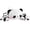 Panda bear, variant on Konexial Chubby Blob Seal Pillow Cute Seal Plush with 4 Baby Plushies in Her Tummy, Soft Large Stuffed Animals Toy Gifts for Kids (20inch)