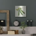 thumbnail image 7 of Luxe Metal Art 'Linen Vegetable IV v2' by Studio Mousseau, Metal Wall Art, 12"x12", 7 of 7
