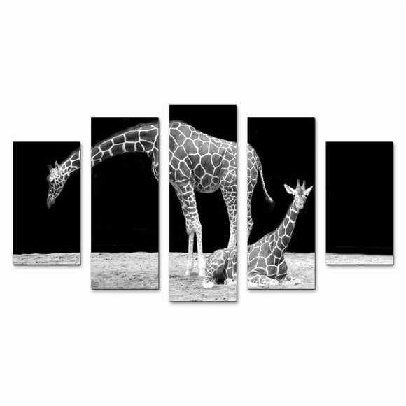 Cuadro Decorativo Jirafas Minimalista Blanco Y Negro Juego De 5 Piezas 150x80cm Ideal Para Sala Oficina Decoración Moderna
