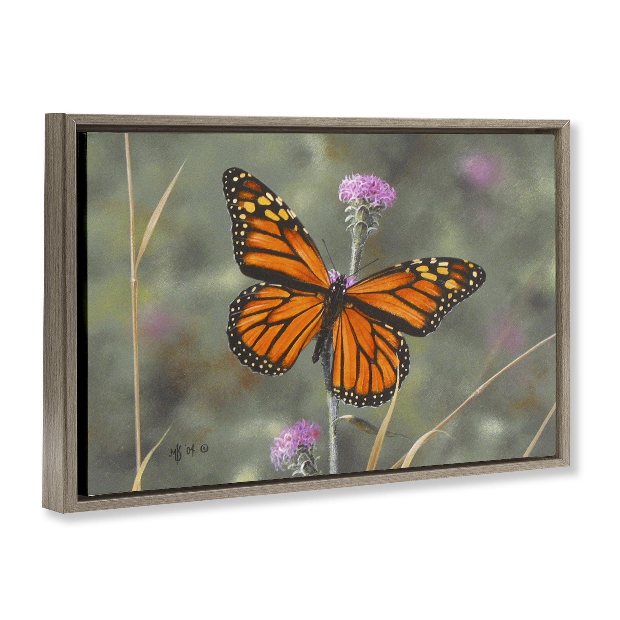 Stupell Industries Summer Visitor Butterfly Animals Photography Brown Floater Framed Canvas Art Print Wall Art, 25 x 17