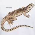 thumbnail image 3 of CafePress - Desert Iguana Women's V Neck T Shirt - Womens Cotton V-Neck T-shirt, 3 of 4