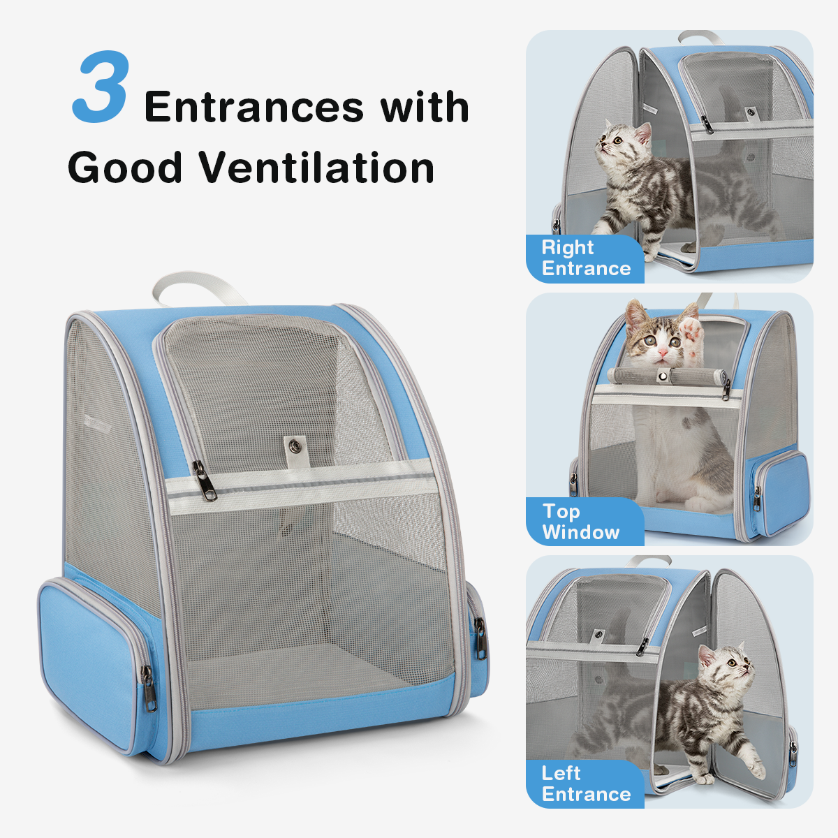 PETRIP Cat Travel Backpack With Bubble Window - Airline Approved Carrier, Ventilated & Padded