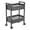 Black, variant on TTGIEET Salon Trolley Cart, Mobile Utility Cabinet with 2 Lockable Drawers, Rolling Storage Station Medical Esthetic Supply Holder for Beauty Spa, Black