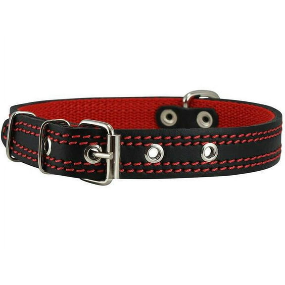 Dogs My Love Genuine Leather Dog Collar Padded Black 3 Sizes (11.5"-14")