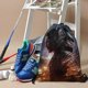 thumbnail image 3 of Venom Mochila de Cuerdas para Deportes y Gimnasio, Bolsa de Cuerdas Resistente al Agua, Bolsa Cinch, 30×40cm, 3 of 6