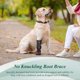thumbnail image 4 of Drops Foot Brace No Knuckling Boot Brace for Dog All-Weather Paw Protection for All Season Use, 4 of 5