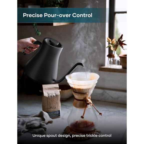 Intasting Gooseneck Electric Kettle with Precise Temp Control for Pour Over Coffee and Tea, 0.9L Stainless Steel Black