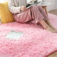 thumbnail image 5 of Fluffy Area Rugs for Living Room, Soft Shag Rug for Bedroom, Non-Slip Fuzzy Carpet, Machine Washable Plush Indoor Rug for Kids Room Nursery Home Decor, 5 of 8