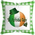 thumbnail image 1 of LADIGASU St. Patrick's Day Short Plush Cushion Cover Throw Pillow Cover Sofa Home Decor, 1 of 1