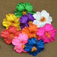 thumbnail image 2 of HLONK 3 PCS/Set Barrettes for Girls Tropical Flower Hair Accessories, 2 of 8