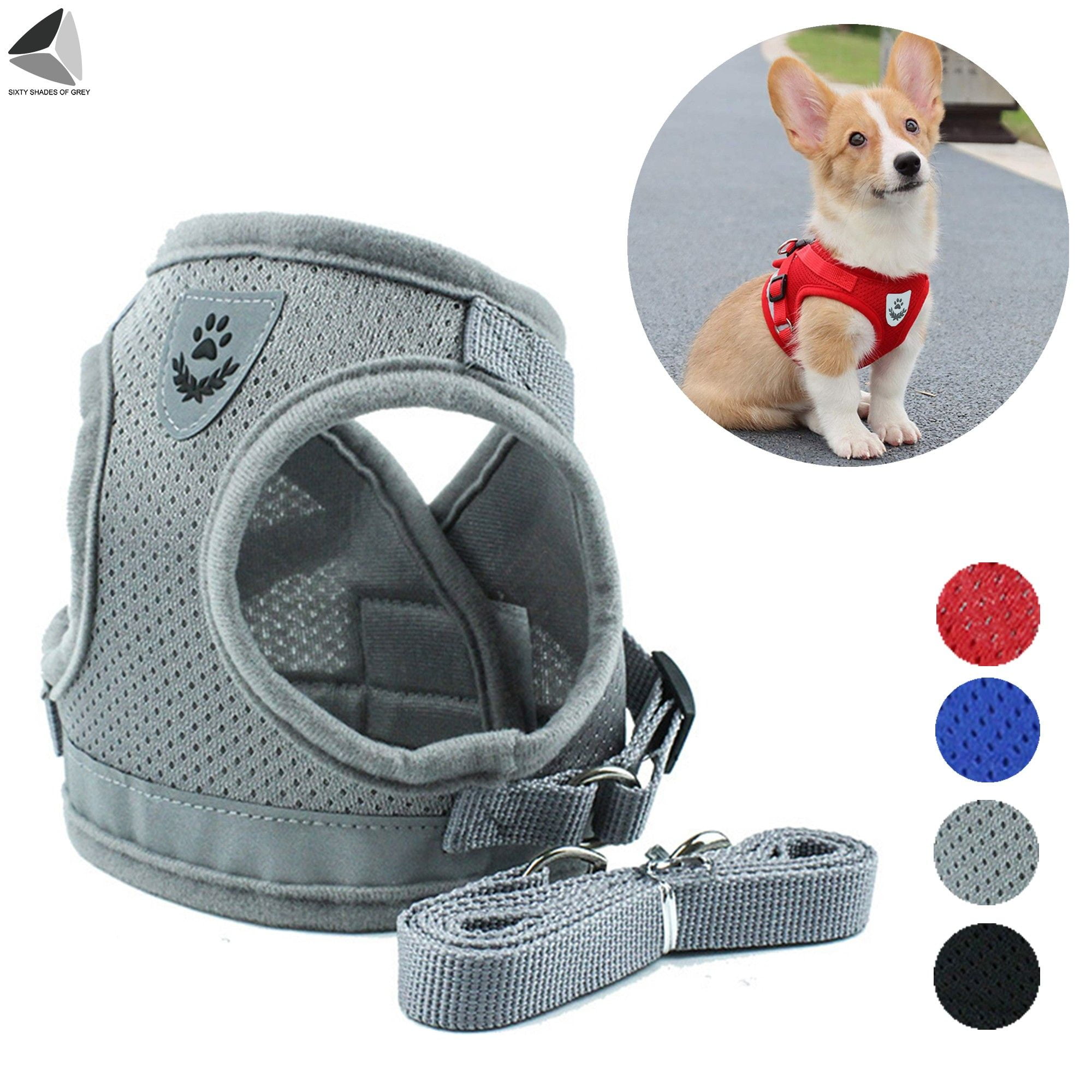 Didog Reflective Cat Harness and Leash Set Chest:8-10 Step in Small Dog Harness No Pull Escape Proof for Walking Soft Breathable Mesh Harness for Small Dogs Puppies,Gray,XS 