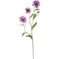thumbnail image 3 of Nearly Natural 28,5 Pouces Tige Cosmos, Violet, 12 Pcs, 3 of 3