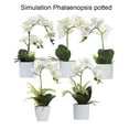 thumbnail image 3 of Monstrate Amplia aplicación de ABS y exquisitas flores artificiales no tóxicas hechas a mano con buena sensación de mano para decoración de Decoración  BF1912009 (341g) BF1912009 (341g), 3 of 6