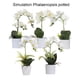 thumbnail image 4 of Bearachild ramo de flores artificiales duraderas aptas para mascotas decoración del hogar DIY BF1912009 341g, 4 of 6