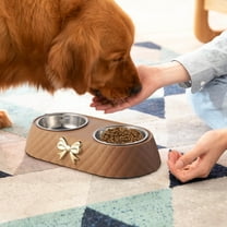 Kitty Slow Feeder Bowls for Indoor Cats,Cat Supplies Stainless Steel Food and Water Bowl Set,Small Pet Food Bowl,Cat Dry Food Bowl Large Cat Bowl