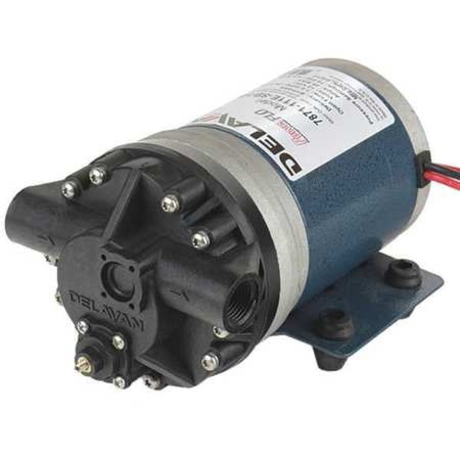 DELAVAN AG PUMPS 7871111ESBHS Diaphragm Pump, Polypropylene