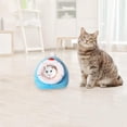 thumbnail image 3 of Injueey Casa para dormir de animales con esterilla, suministros de algodón, jaula colgante ligera, nido de animales pequeños, tienda para el Juegos de accesorios de baño, 3 of 6