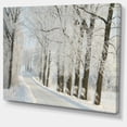 thumbnail image 2 of Route Rurale d'Hiver parmi les Arbres Givrés - Impression sur Toile de Forêt, 2 of 4