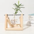 thumbnail image 3 of Desktop Hydroponics Glass Bulb Planter Vase with Wood Stand Versatile Table Decorative Vase for Home/Office, 3 of 5