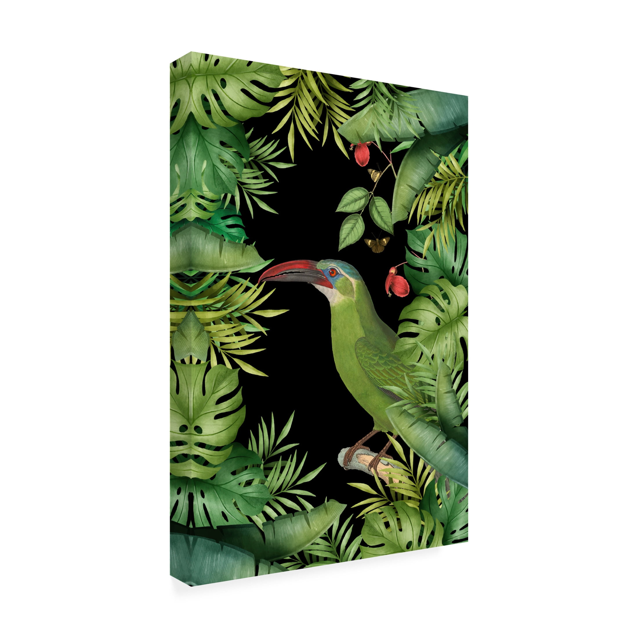 Trademark Fine Art Andrea Haase  Jungle With Green Toucan Canvas Wall Art