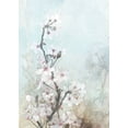 thumbnail image 2 of Roko, Ken 11x14 White Modern Wood Framed Museum Art Print Titled - Climbing Cherry Blossoms II, 2 of 4