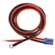 thumbnail image 2 of DC 12-24V 10A a cables adaptadores de arnés de terminales Sunnimix Cable adaptador de corriente EC5, 2 of 6
