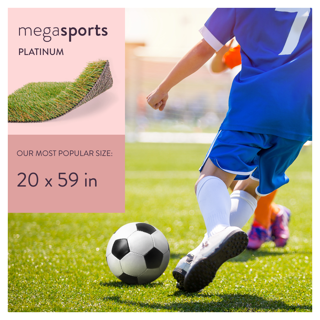 sports 59 indoor soccer