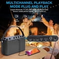 Eariser Aursear Portable Karaoke Machine with 2 Wireless Microphones for Adults ...
