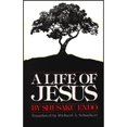 thumbnail image 1 of Pre-Owned A Life of Jesus (Paperback) 0809123193 9780809123193, 1 of 1