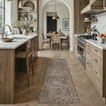 thumbnail image 5 of BERTHMEER 2'x6' Runner Rugs for Hallway Bathroom Bedroom Entryway Kitchen Dorm Non Slip Washable Brown Vintage Oriental Traditional Distressed Runner Rugs, 5 of 6