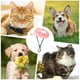 thumbnail image 2 of Popular! Pet Outdoor Supplies Large And Small Dogs And Cats Sunshade Dew Ears Puppy Cap Headwear,M, 2 of 5