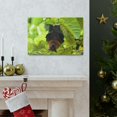 thumbnail image 5 of Majestic Vampire Bat Art Majestic Vampire Bat Print Animal Wall Art Wildlife Canvas Prints Wall Art Ready to Hang Unframed, 5 of 18